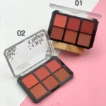 پالت رژگونه ۶ رنگ اورجینال LAREEN کد G145