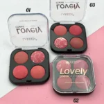 رژگونه ابرو بادی ۴ رنگ اورجینال LAREEN کد G103